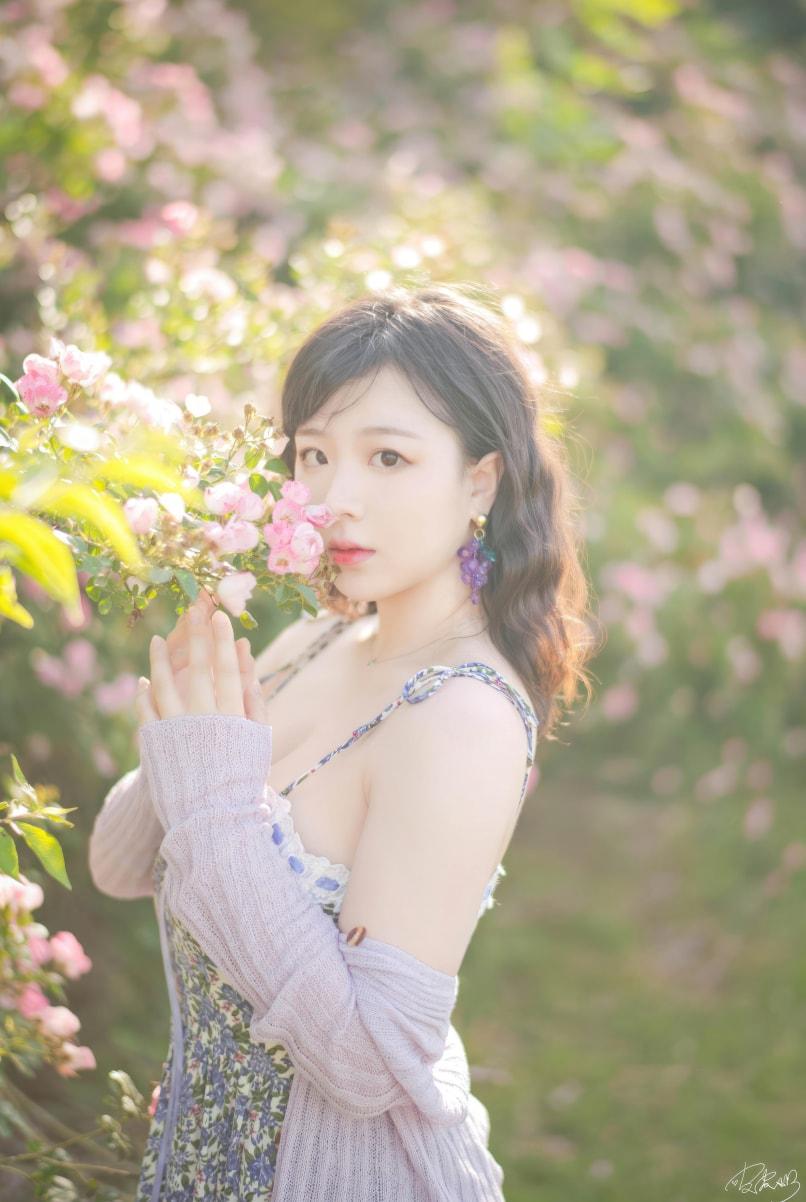 皮皮奶可可爱了啦 蔷薇花-资源分享