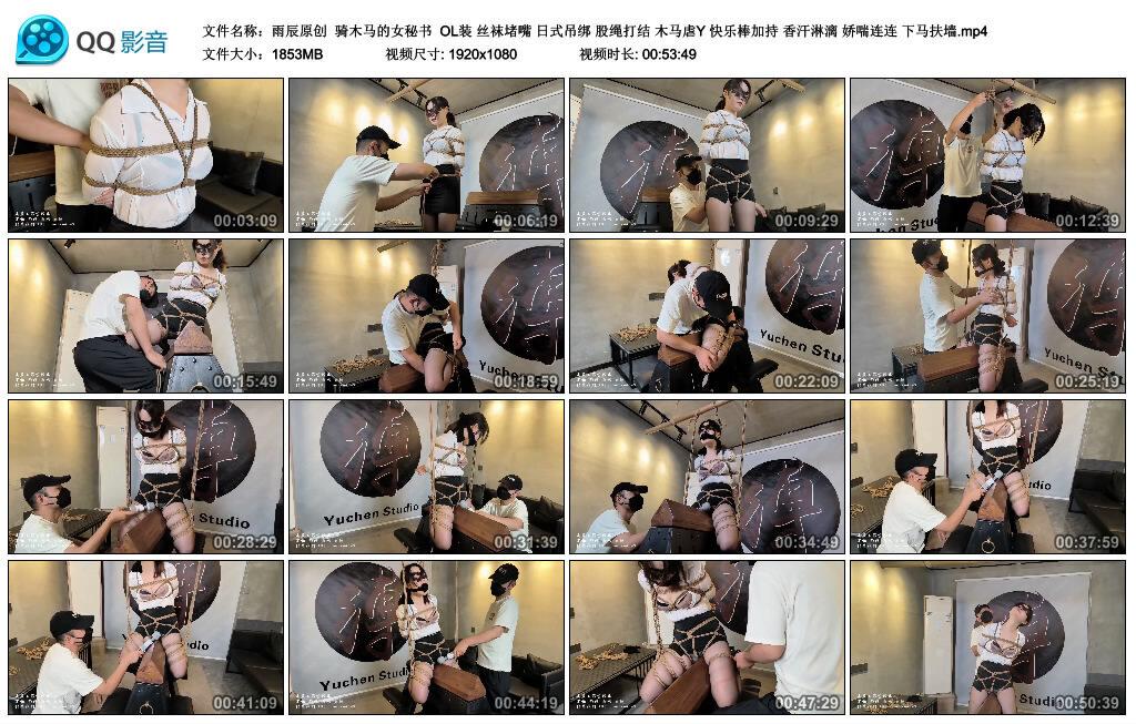 【雨辰原创】骑木马的女秘书