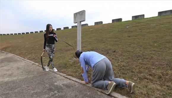 『奴隶岛』—灵灵户外人形犬训练