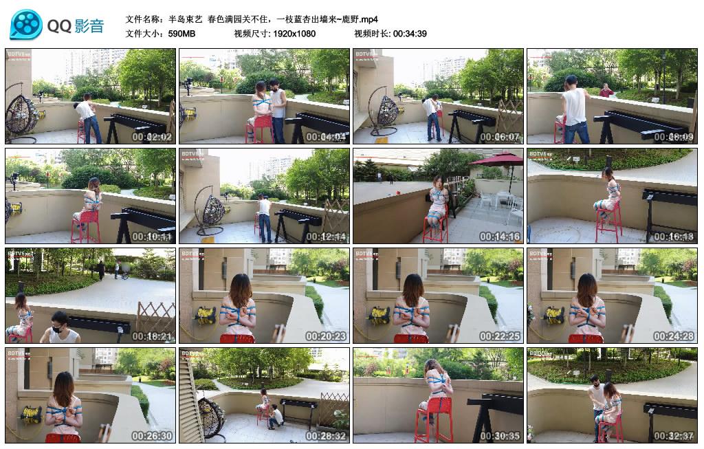 [半岛束艺] 半岛束艺 春色满园关不住，一枝蓝杏出墙来~鹿野