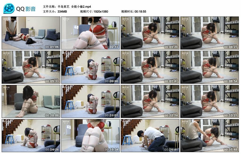 【半岛束艺】全能小偷2