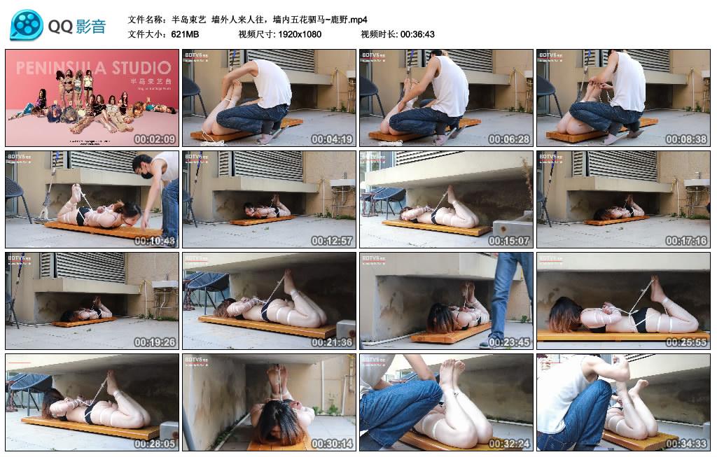 [半岛束艺] 半岛束艺 墙外人来人往，墙内五花驷马~鹿野