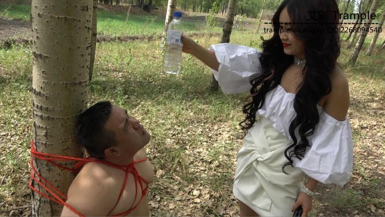 小树林鞭打家畜