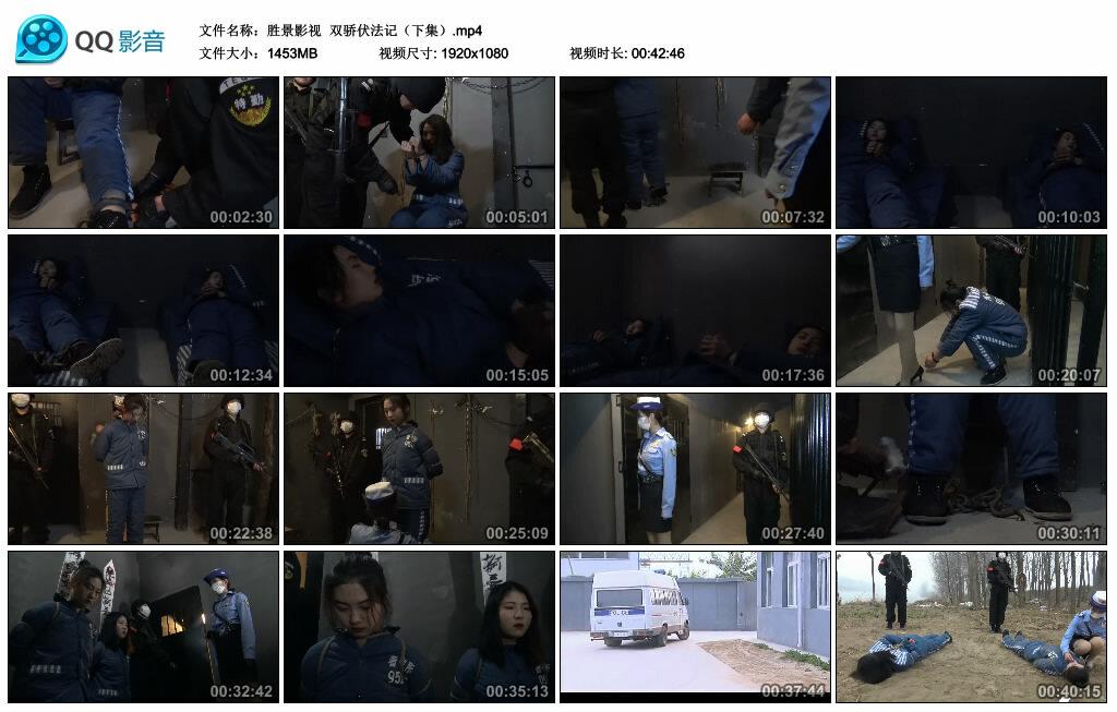 【胜景影视】双骄伏法记（下集）