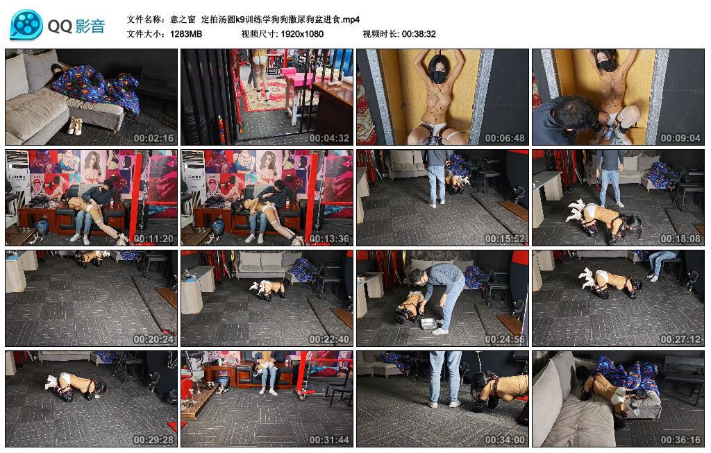 【意之窗】定拍汤圆k9训练学狗狗撒尿狗盆进食