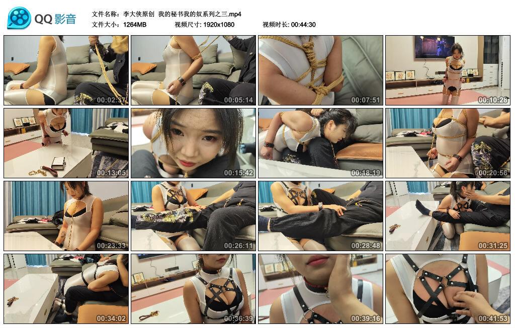 【李大侠原创】我的秘书我的奴系列之三