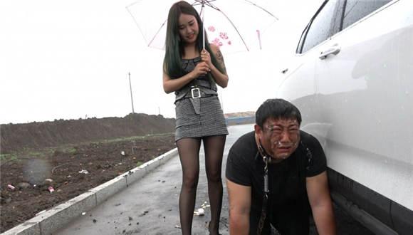 猪奴雨天的生日