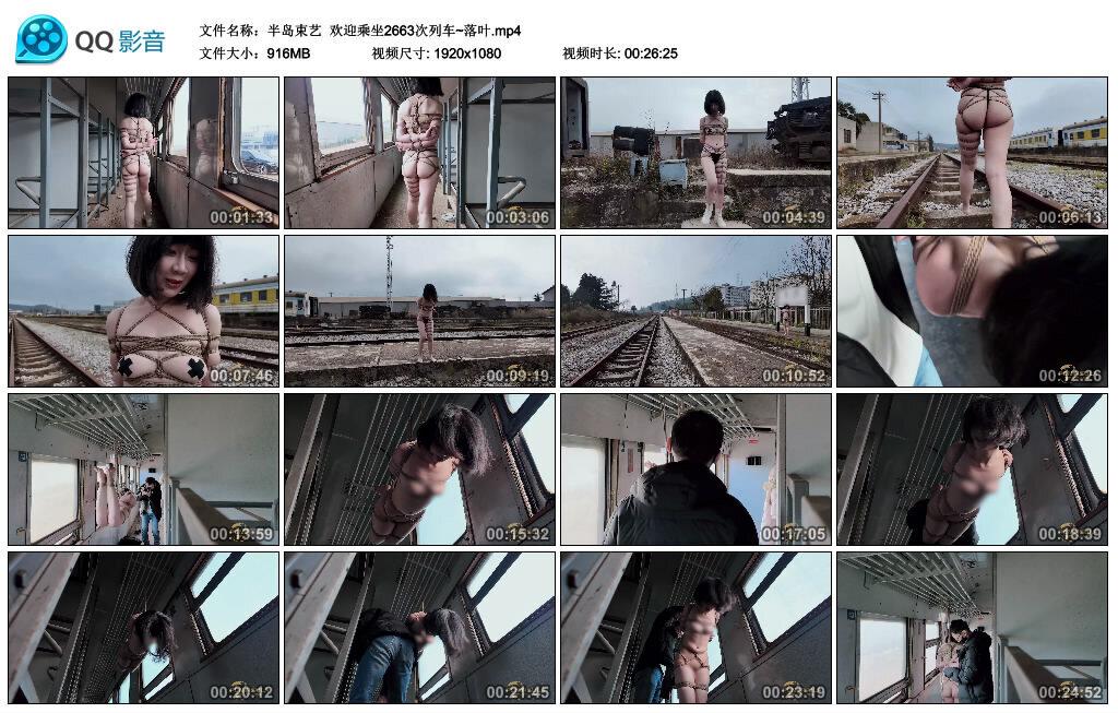 【半岛束艺】欢迎乘坐2663次列车~落叶