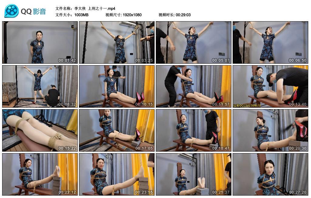 【李大侠】上刑之十一