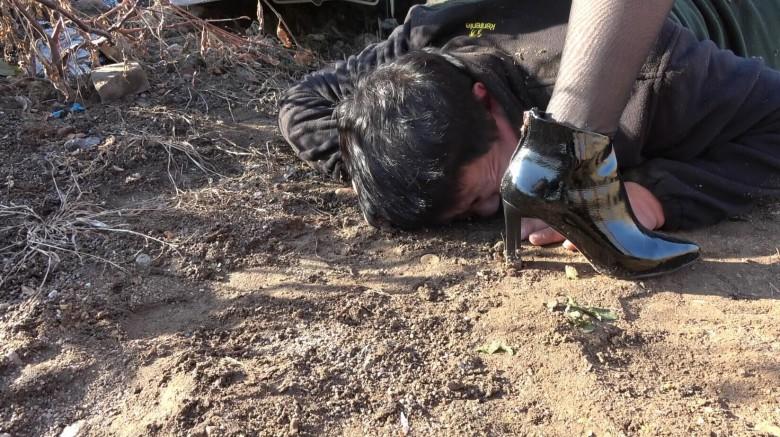 双主狂虐碎嘴肥狗（上集）