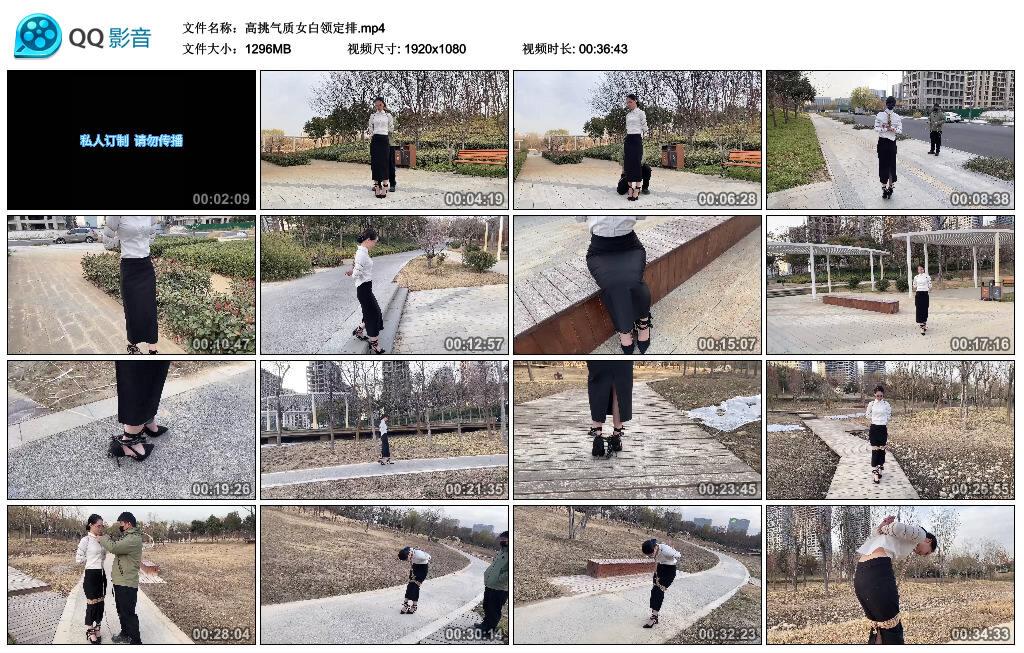 高挑气质女白领定排