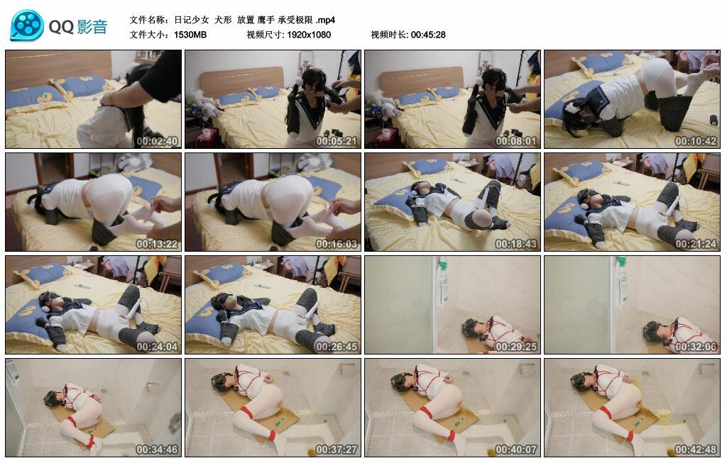 【日记少女】犬形 放置 鹰手 承受极限