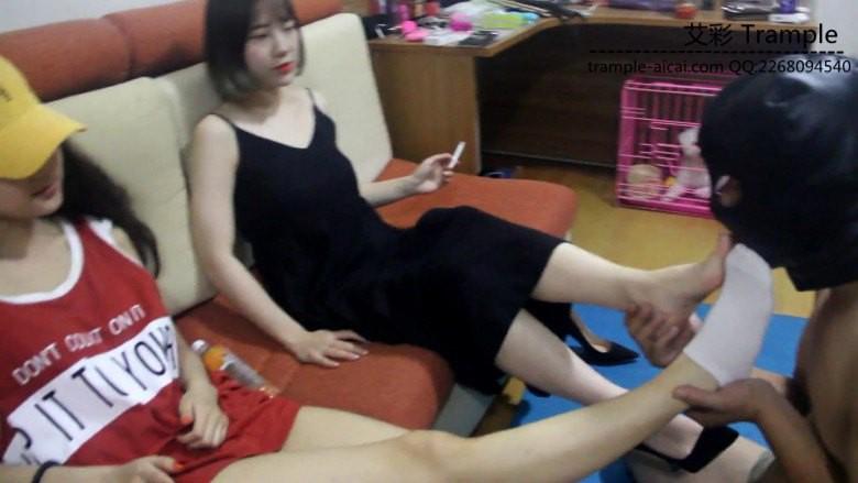 仟梦纯艺日常调狗