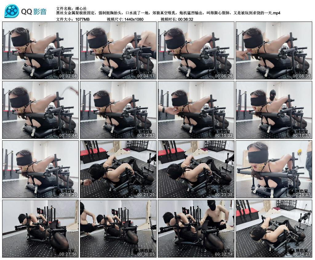 【缚心社】黑丝女金属架极致固定