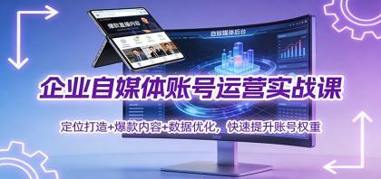 企业自媒体账号运营实战课：定位打造+ 爆款内容+数据优化，快速提升账号权重