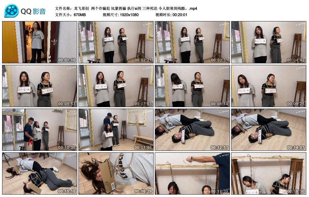 【龙飞原创】两个诈骗犯 坑蒙拐骗 执行si刑 三种死法 令人胆寒到残酷