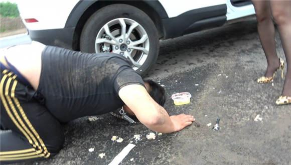 猪奴雨天的生日