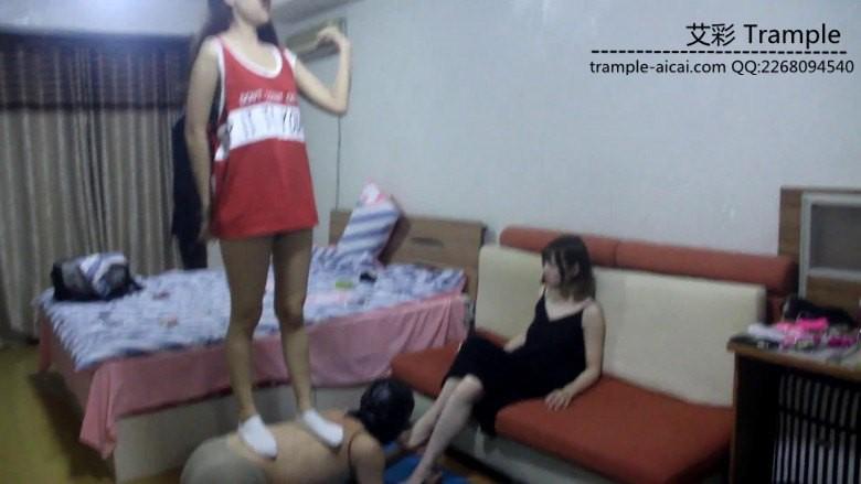 仟梦纯艺日常调狗