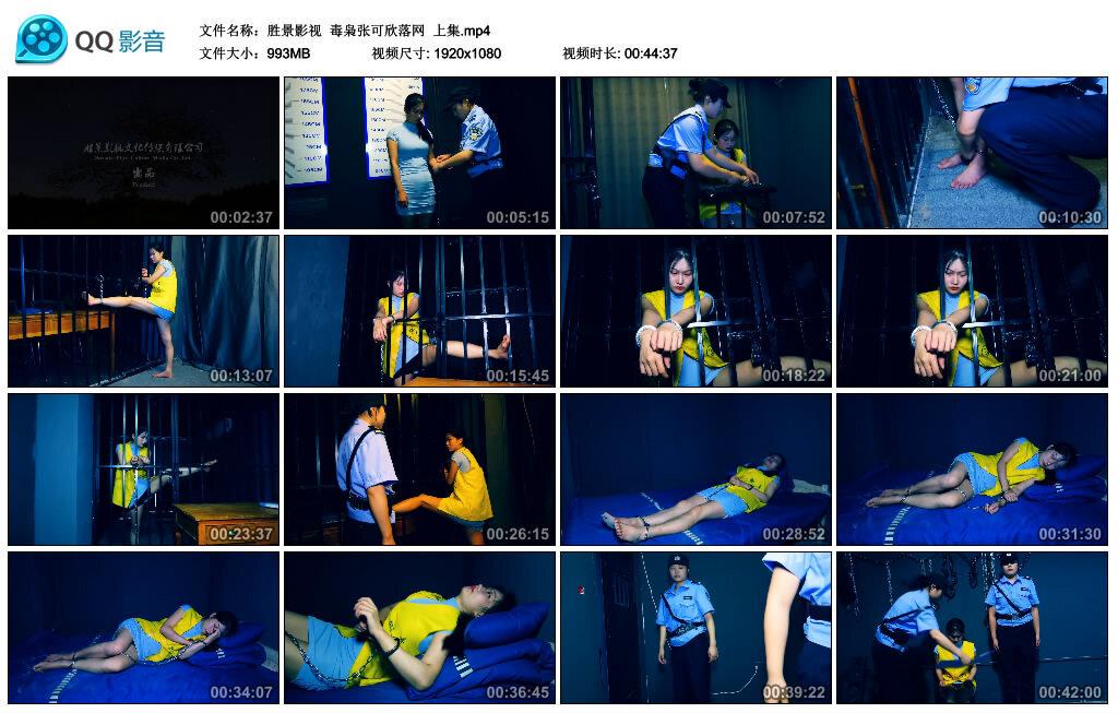 【胜景影视】毒枭张可欣落网 上集