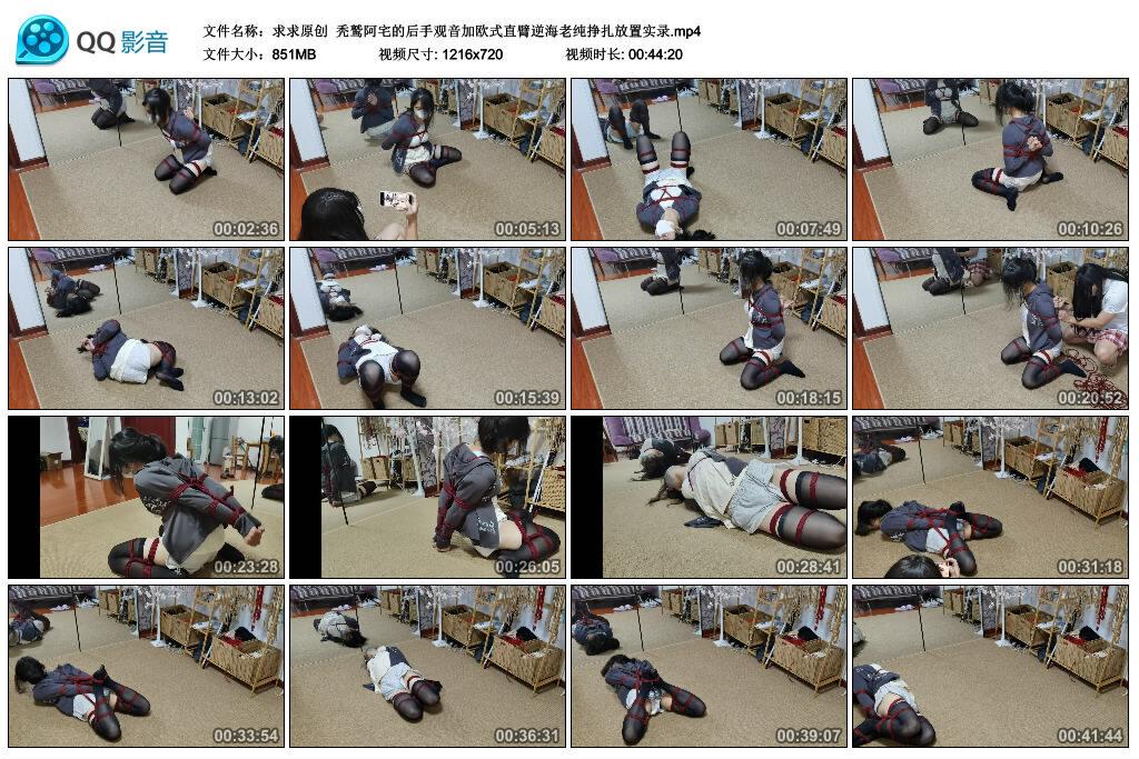 【求求原创】秃鹫阿宅的后手观音加欧式直臂逆海老纯挣扎放置实录