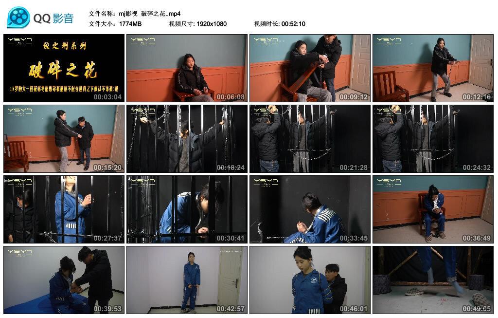 【mj影视】破碎之花