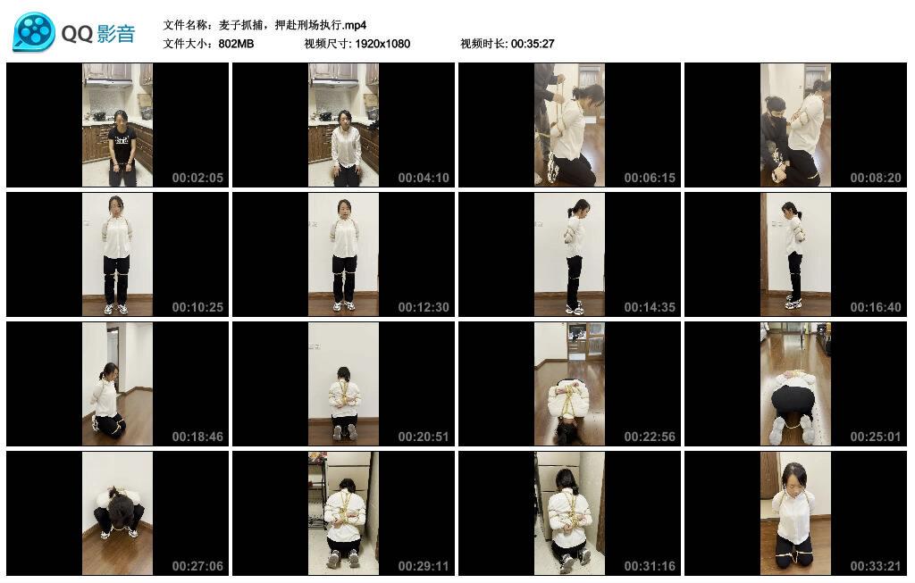 麦子抓捕，押赴刑场执行