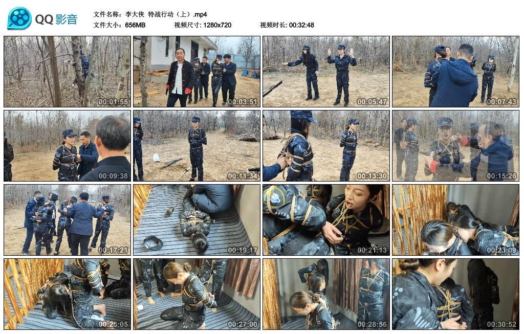 【李大侠】特战行动(上) 【李大侠】特战行动(上)