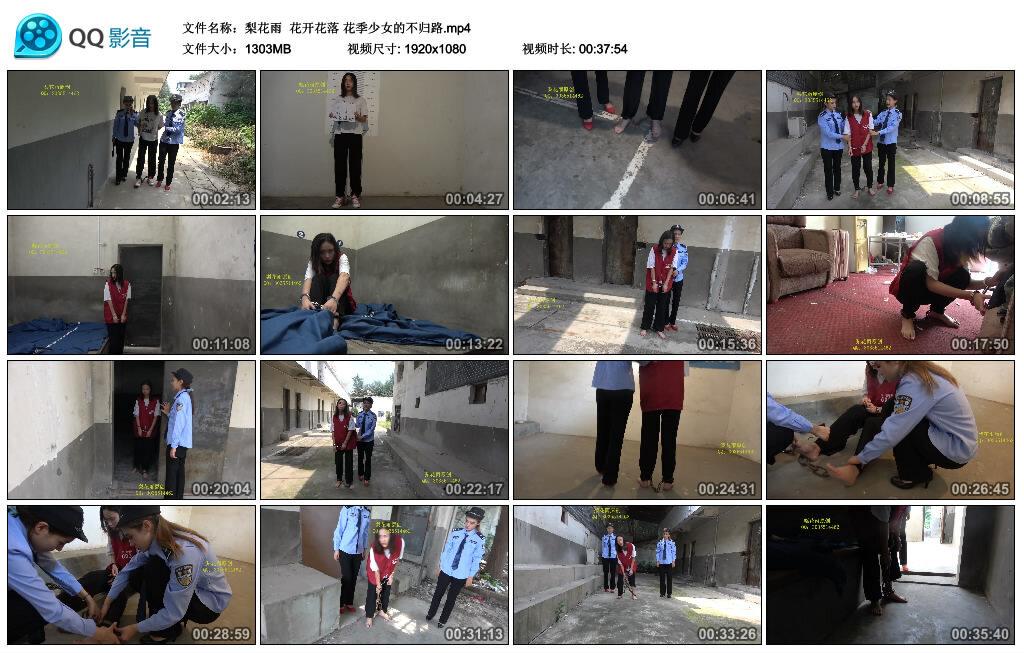 【梨花雨】花开花落