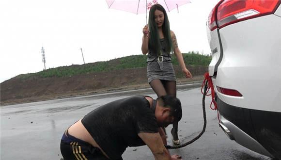 猪奴雨天的生日