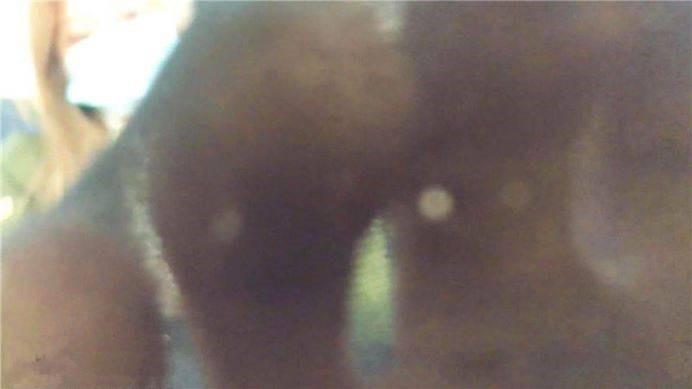 【婧児小主】GPCT_JR513A脚窒息除臭人系列1 婧琳双S全语言 长靴臭丝袜折磨死你