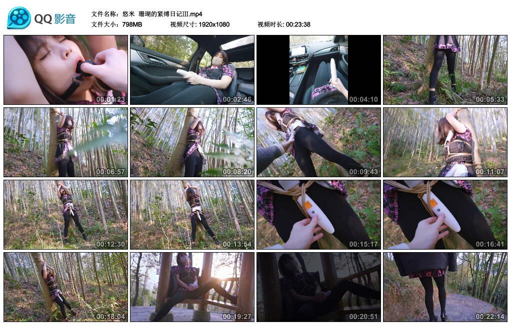 【悠米】珊瑚的紧缚日记Ⅲ