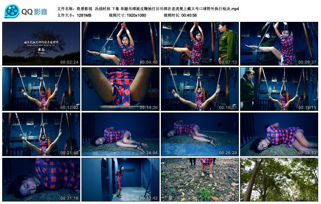 【胜景影视】决战时刻 下集