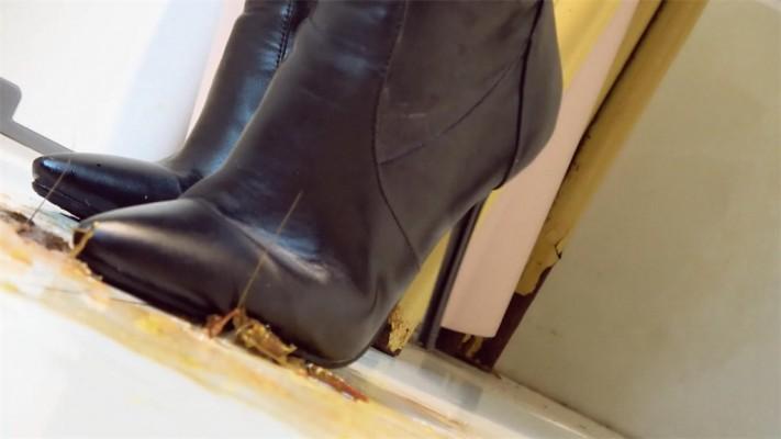 【婧児小主】晓G全语言GTS Crush双靴虐杀小奴隶们戏谑嘲笑把龙虾踩成肉酱 YC-220523-7