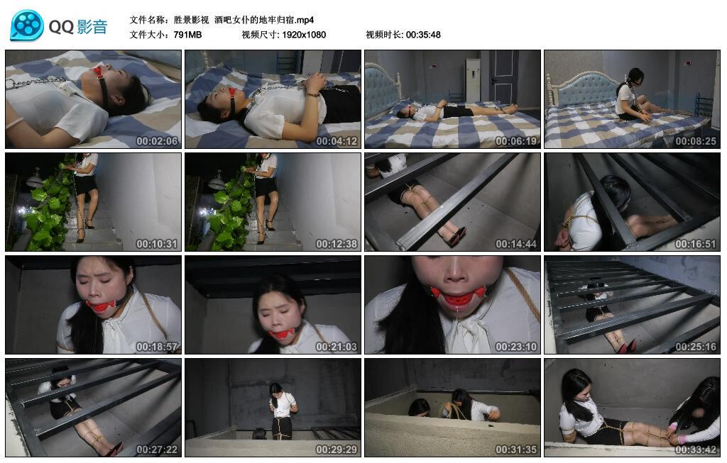 【胜景影视】酒吧女仆的地牢归宿