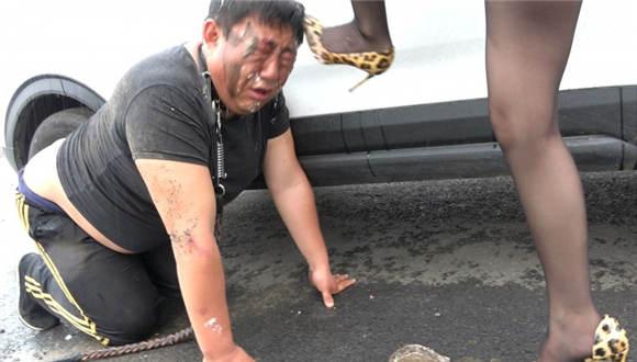 猪奴雨天的生日