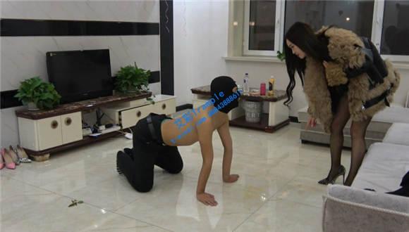 【冷柔】剧情“鸭式”服务