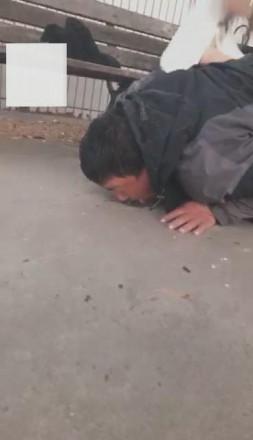 【冷柔s】小清新装户外暴打双M