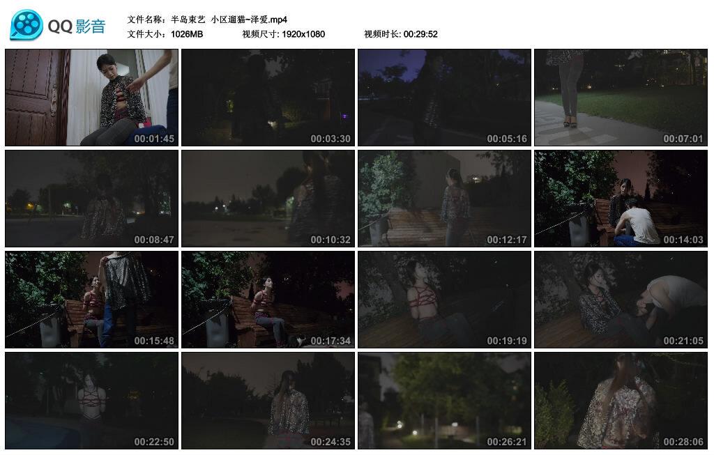 【半岛束艺】小区遛猫~泽爱