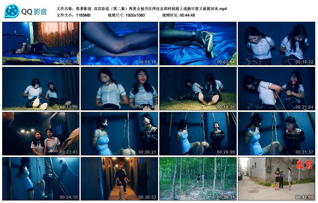 【胜景影视】双花卧底（第二集）