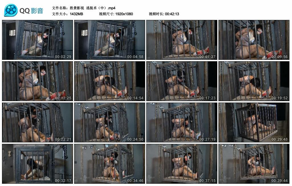 【胜景影视】逃脱术（中）