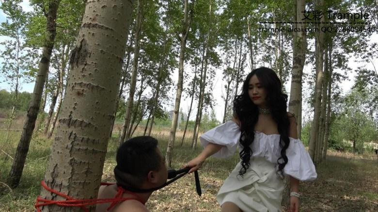 小树林鞭打家畜