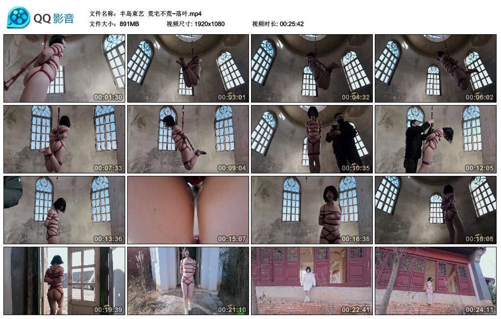 【半岛束艺】荒宅不荒~落叶