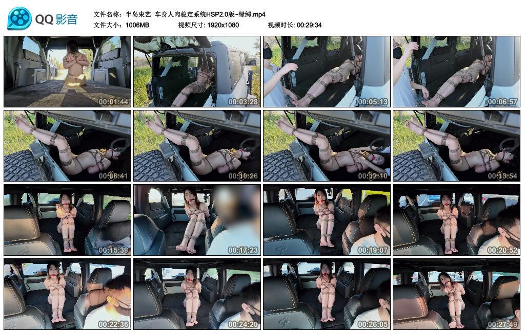 【半岛束艺】车身人肉稳定系统HSP2.0版~绿鳄