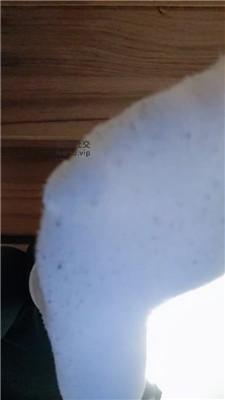 【上海汤圆】灯    250206-31