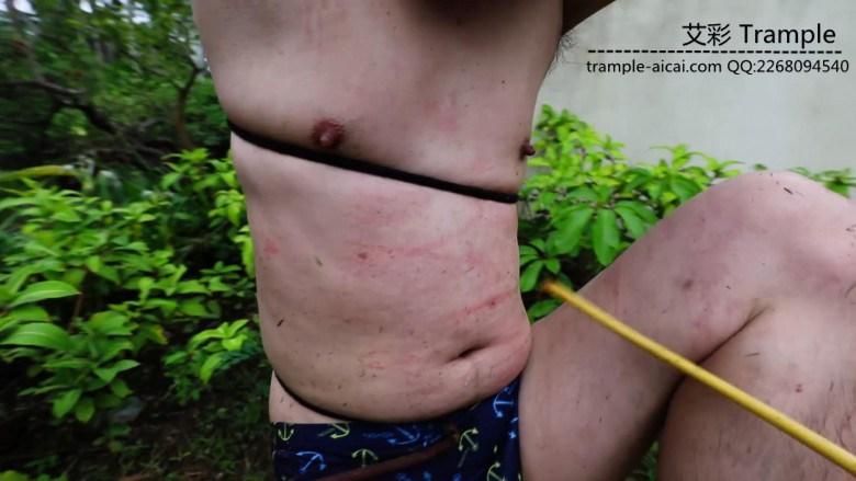 〖H.P.L栖心之栈〗—三亚小树林·树枝抽打、剃毛