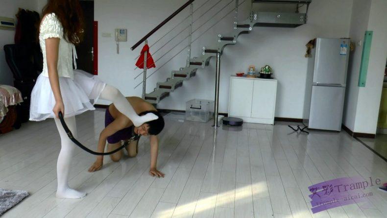 【冰时代】 丝儿公主的袜奴 （推荐）