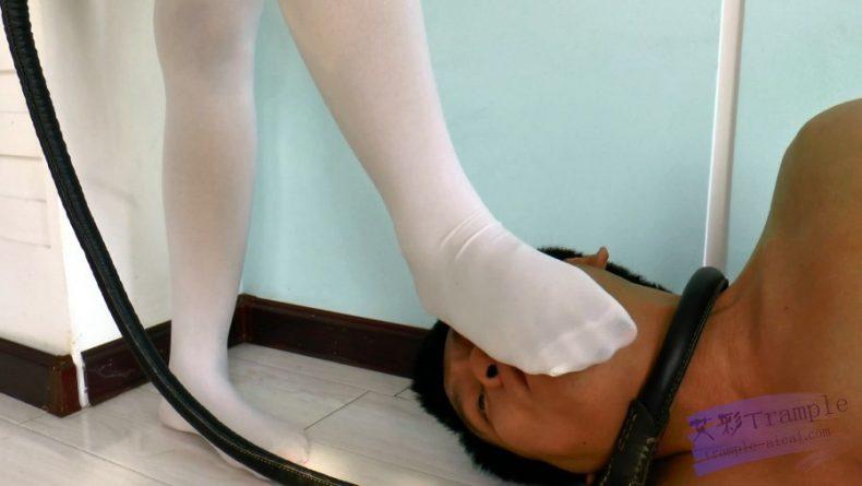 【冰时代】 丝儿公主的袜奴 （推荐）