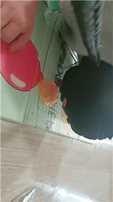 【卡罗琳】黑丝高跟诱惑-犬化家奴【下】 JS250331-46