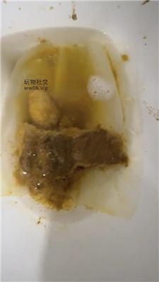 【酒鸽】吃屎狗滚进来    250120-5