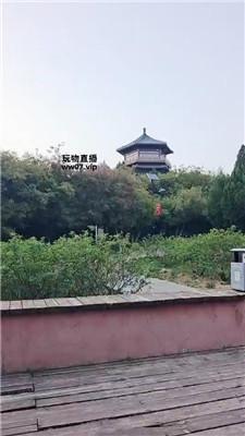 【静s】户外调-原味白袜羞辱 JS250417-3